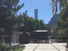 -团结湖公园