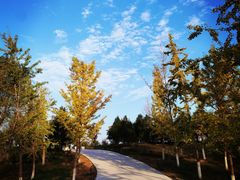 -汉长安城未央宫国家考古遗址公园