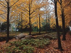 -河南省黄河迎宾馆