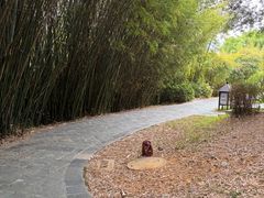 -森波拉火山温泉