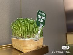 -海底捞火锅(顺义华联店)