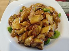 -大鹅岛绿色生态美食园