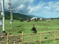 -新疆那拉提国家旅游度假区