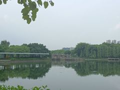 -顺峰山公园