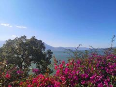 -南诏风情岛