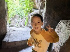 -游龙石文化科普馆