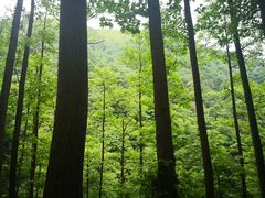 -藏龙百瀑漂流