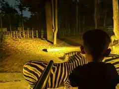 -清迈夜间动物园