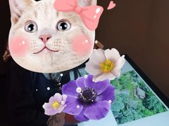 -广州花园酒店