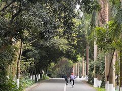 -番禺大夫山森林公园