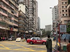-油麻地果栏
