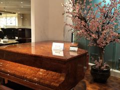 -柏斯音乐艺术中心·钢琴·吉他(上音店)