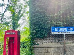 -日照海滨国家森林公园