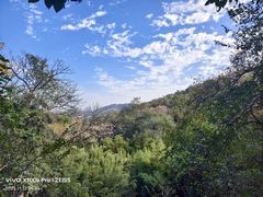 -镇江市南山风景名胜区竹林景区