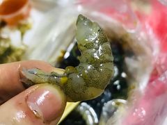 -圆蛋酒料•生腌(开元路店)