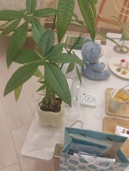 -智美品质医美