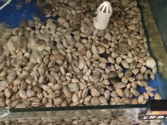 -雅逸居海鲜小厨