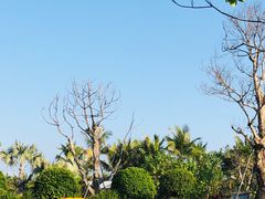 -味餐厅·海鲜·火锅·自助餐