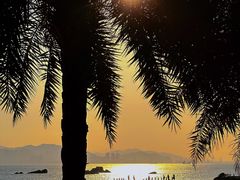 -白城沙滩