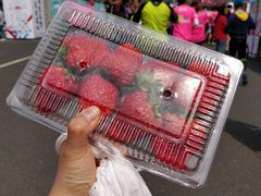 -南京市无想山景区