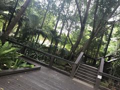 -布里斯班南岸公园