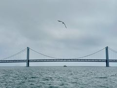 -星海广场