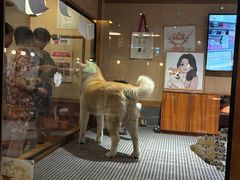 -大江户·温泉洗浴(浑南店)