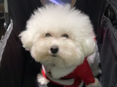 -Thai Basil罗勒叶泰式餐厅(时代天街店)