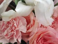 -循礼门鲜花花市(武汉循礼门店)