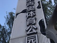 -梦之蓝青奥体育公园体育馆