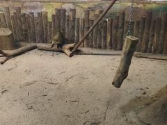 -大连圣亚海洋世界