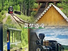 -呼伦贝尔大草原