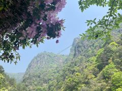 -天台山琼台仙谷景区