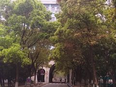 -武汉大学-樱园