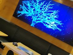 -新石器烤肉(南站店)
