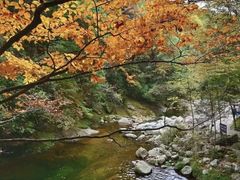 -光雾山旅游景区