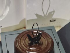 -BLACKSWAN黑天鹅(环球店)