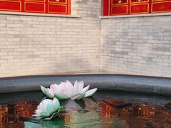 -西安市广仁寺