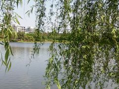 -四川大学(江安校区)