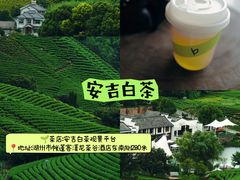 -中国大竹海景区