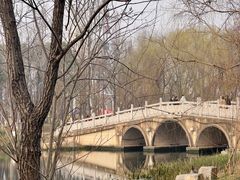 -洋湖国家湿地公园