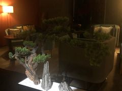 -璞·澐间影院式足道SPA(尚悦湾店)