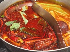 -滇牛云南火锅(桂林路店)