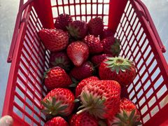 -西部长青自然儿童乐园