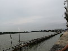 -大湾区中央湿地公园-十九涌