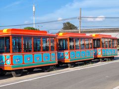 -蟹村草堂·苏式园林人文农家·大闸蟹