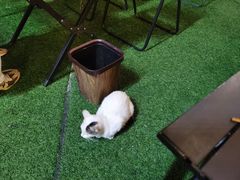 -北丐先生·野馄饨烧烤(长宁龙之梦店)