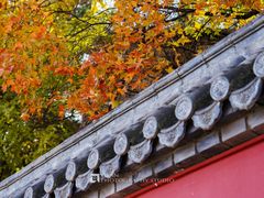 -妙峰山风景名胜区