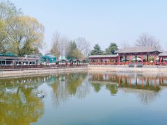 -尚庄度假村·庭台树下·户外烧烤·团建CS·轰趴营地(上庄水库店)