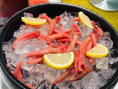 活海肠-海鲨湾海鲜会馆(百家湖1912店)